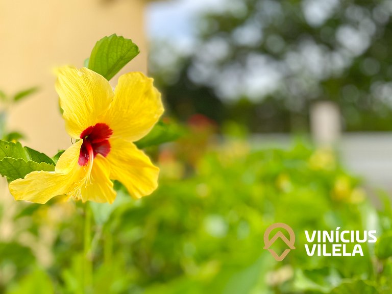 Residencial IL Pevero, condomínio com piscina e área gourmet