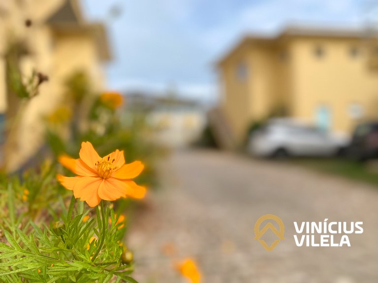 Residencial IL Pevero, condomínio com piscina e área gourmet