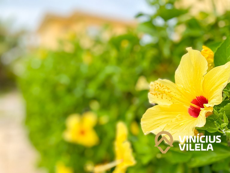 Residencial IL Pevero, condomínio com piscina e área gourmet