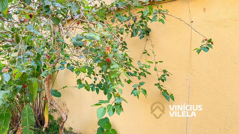 Apto Térreo todo reformado com 2 quartos ambos com ar condic