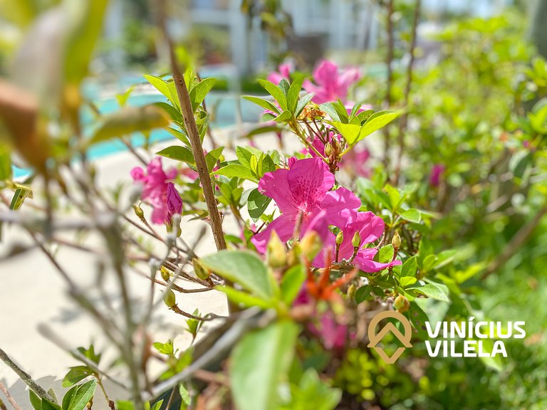 Casa toda climatizada com 2 suítes, gourmet privativo e inte